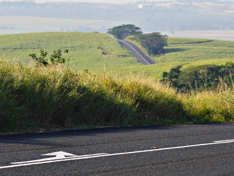 Provincial Road Marking